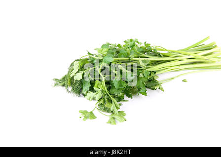 Lebensmittel, Nahrungsmittel, Blatt, Objekt, Makro, Nahaufnahme, Makro-Aufnahme, Ansicht, Nahaufnahme Stockfoto