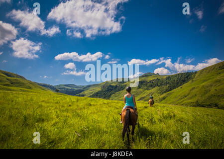 Südafrika - 20. Januar 2015: Spektakuläre Reise zu Pferd, im Royal Natal National park Stockfoto