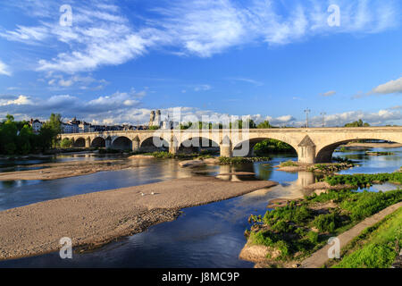 Frankreich, Loiret, Orleans, die Loire, die Brücke Georges V und Sainte Croix Kathedrale Stockfoto