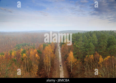 Frankreich, Loiret, Nibelle, Orleans Wald im Herbst von der Sternwarte Caillettes Stockfoto