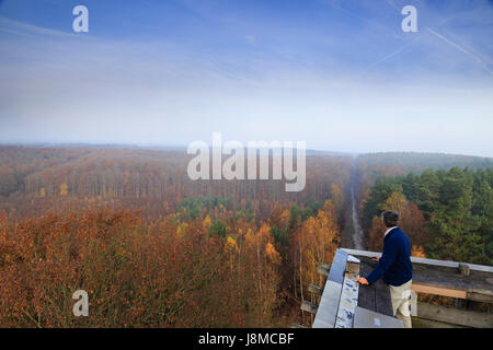 Frankreich, Loiret, Nibelle, Orleans Wald im Herbst von der Sternwarte Caillettes Stockfoto