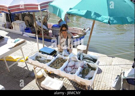 Viareggio (Toskana), Badeort, die Rückkehr der Fischerboote in Burlamacca Hafenkanal, Direktverkauf von Fisch auf der Anklagebank Stockfoto