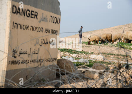 Ein Palästinenser neigt seine Herden in der Nähe ein Schild mit der Aufschrift "Gefahr feuern Bereich Eintritt verboten" in der Nähe der palästinensischen Gemeinschaft von Al Farisiya im Jordan-Tal, Westjordanland, 22. Januar 2014. Die israelischen Streitkräfte regelmäßig Bewohner solcher Gemeinden, ihre Häuser bei militärischen Übungen zu evakuieren. Stockfoto