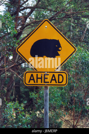 ROADSIGN in Australien warnt für Wombat 2004 Stockfoto