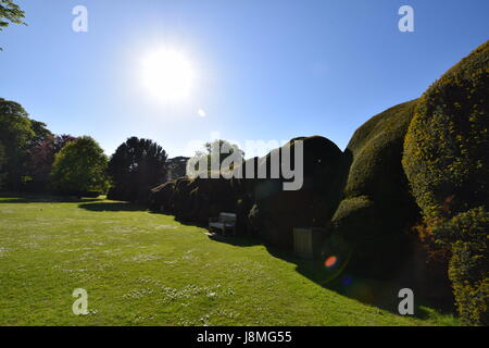 Walmer Castle 0021 Stockfoto