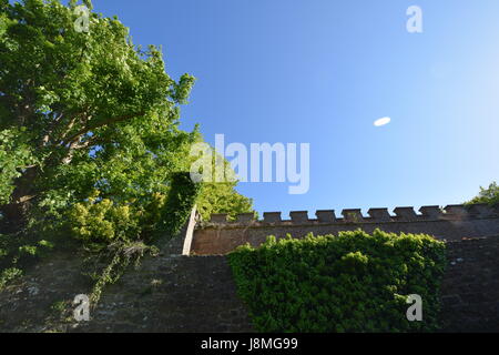 Walmer Castle 0021 Stockfoto