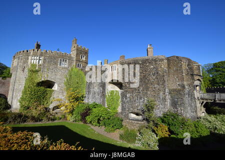 Walmer Castle 0021 Stockfoto