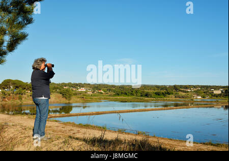 Melides Lagune mit Reisfeldern. Portugal Stockfoto