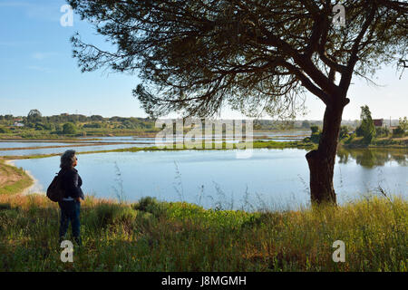 Melides Lagune mit Reisfeldern. Portugal Stockfoto