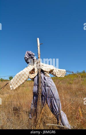 Vogelscheuche in einem Kornfeld. Beira Baixa, Portugal Stockfoto