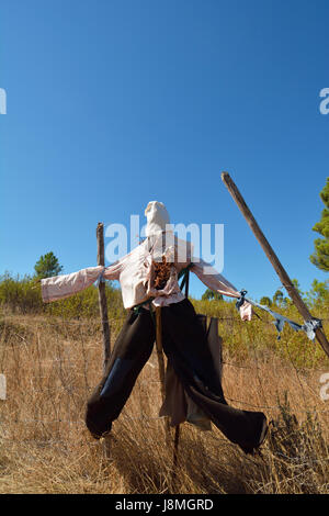 Vogelscheuche in einem Kornfeld. Beira Baixa, Portugal Stockfoto