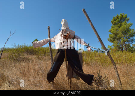 Vogelscheuche in einem Kornfeld. Beira Baixa, Portugal Stockfoto