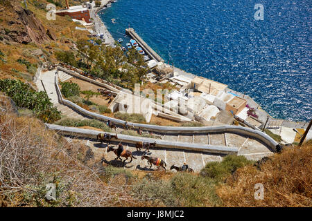 Vulkanische griechische Insel Santorin eine der Kykladen im Ägäischen Meer. Fira, der Hauptstadt Islands-Esel reitet auf dem Esel Weg Stockfoto