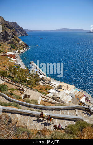 Vulkanische griechische Insel Santorin eine der Kykladen im Ägäischen Meer. Fira, der Hauptstadt Islands-Esel reitet auf dem Esel Weg Stockfoto