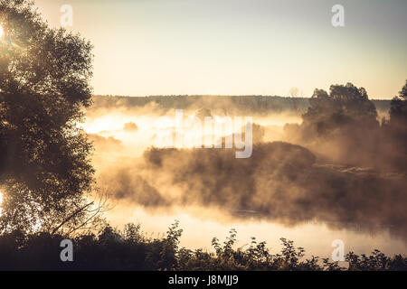Nebligen ländlichen Landschaft während der goldenen Stunde am Ufer des Flusses in den frühen Morgenstunden Stockfoto