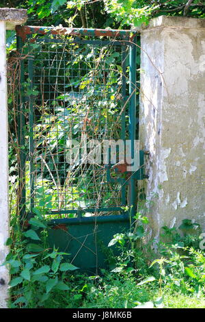 Altes verosteses Gartentor, Tor mit rostiger Klinke Stockfoto