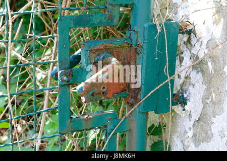Altes verosteses Gartentor, Tor mit rostiger Klinke Stockfoto