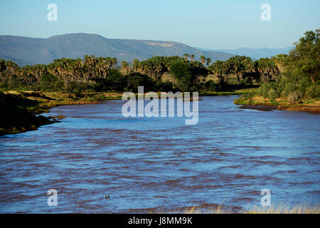 Der ewaso Ng'iro Fluss fließt zwischen Samburu National Reserve und Buffalo Springs National Park. Stockfoto