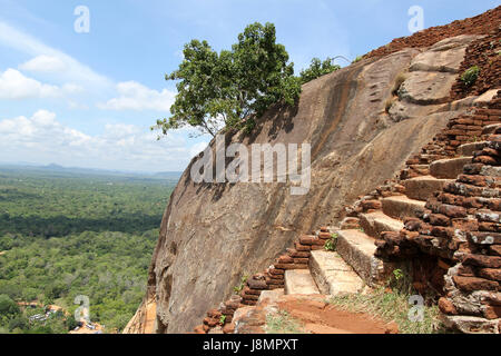 Sigiriya, Sri Lanka Stockfoto