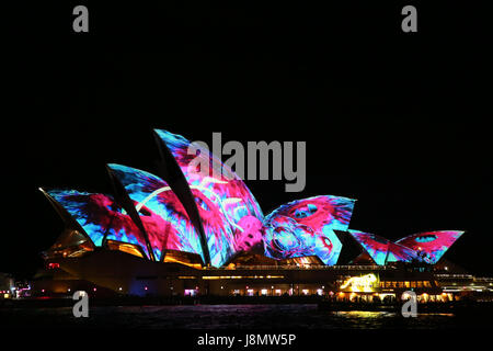 Sydney, Australien. 27. Mai 2017. Vivid Sydney läuft vom 26. Mai bis 17. Juni. Im Bild: Sydney Opera House. Bildnachweis: Richard Milnes/Alamy Live-Nachrichten Stockfoto