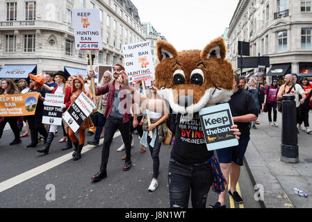 London, UK. 29. Mai 2017. Demonstranten inszenieren einen "Anti-jagen-Marsch" in central London marschieren von Cavendish Square außerhalb Downing Street. Demonstranten fordern das Verbot der Fuchsjagd bleibt, im Gegensatz zu Kommentare von Theresa May, Herr Ministerpräsident, berichtet, dass die Jagd-Gesetz von 2004 nach den Parlamentswahlen aufgehoben werden könnte. Bildnachweis: Stephen Chung/Alamy Live-Nachrichten Stockfoto