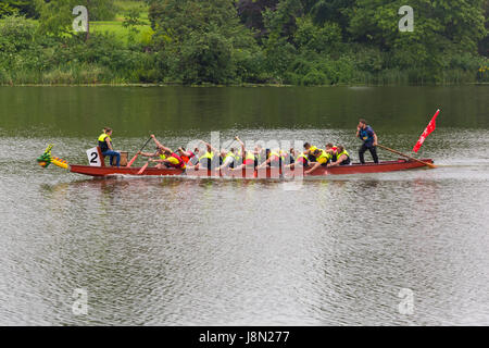 Sherborne, Dorset, Großbritannien. Mai 2017. Wetter in Großbritannien: Feuchter, nasser Tag für die Sherborne Castle Country Fair, während Besucher am Montag an Feiertagen dem Regen trotzen. Dragon Boat Racing, Dragon Boat Racing Credit: Carolyn Jenkins/Alamy Live News Stockfoto