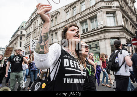 Fox-Hunting März, 29. Mai 2017, London - marschiert eine Mädchen auf die Straße und schreit. Bildnachweis: Anja Riedmann/Alamy Live-Nachrichten Stockfoto