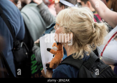 Fox-Hunting März, 29. Mai 2017, London - eine Frau hält ein Stofftier und hört die Rede. Bildnachweis: Anja Riedmann/Alamy Live-Nachrichten Stockfoto