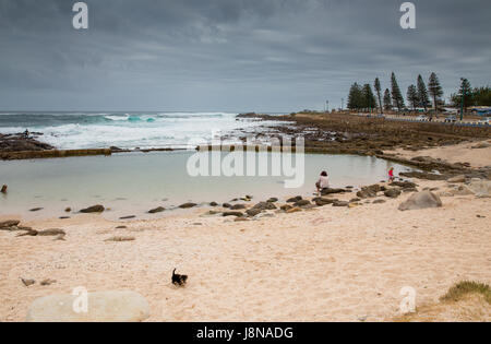 Mossel Bay - Südafrika, 27. Januar 2015: Stop in Mossel Bay und Spaziergang auf der Promenade während der Fahrt auf der garden Route. Stockfoto