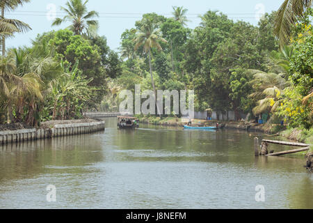 Editorial: ALAPPUZHA, KERALA, Indien, 9. April 2017 - Mann in einem blauen Boot Mangos am Ufer eines Kanals in Alappuzha, Ernte, während ein Hausboot p ist Stockfoto