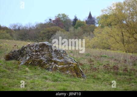 Erratischer Block in der Nähe der Stadt Hohendorf im Bundesland Mecklenburg-Vorpommern. Im Hintergrund sehen die Kirche der Stadt. Stockfoto