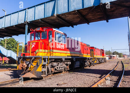 Züge Lokomotiven Diesel Maschinen Bahngleise Landschaft. Stockfoto