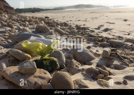 Tasche Hund Dreck links am Strand zwischen Felsen. Stockfoto