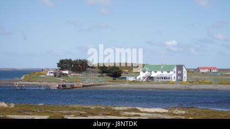 Falkland-Inseln Stockfoto