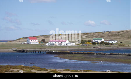 Falkland-Inseln - Darwin Stockfoto