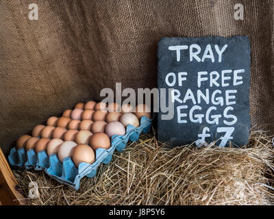 Bauern freie Auswahl Eiern auf Verkauf für £7 pro Fach auf Stroh an charmante rustikale ländliche am Straßenrand Kleinbauern Kiosk Dorset UK Stockfoto