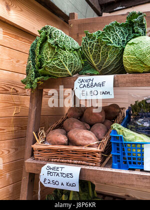 Britische landwirtschaftliche Erzeugnisse... Wirsing und Süßkartoffeln Winter Frühling Gemüse-Ernte zum Verkauf an Dorset Farmers Market Shop Stockfoto