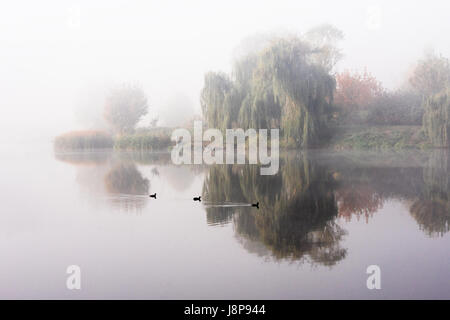 Morgennebel über dem See mit Spiegelbild im Wasser. Nebel am Fluss Stockfoto