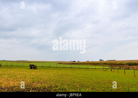 Flämische landwirtschaftliche Szene im Herbst. Kortenaken, Flandern, Belgien Stockfoto