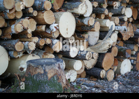 Protokolle, häuften sich in Stockholm, Schweden vor der Auslieferung an anderer Stelle Stockfoto