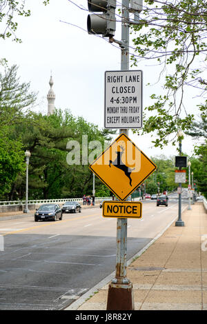 "Springende Hirsch" anmelden Laternenpfahl in Washington DC, USA Stockfoto