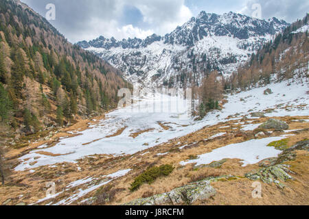 Einsames Tal in den Dolomiten, verschneiten und vereisten wie Winter nicht seinen Griff auf die Berge und die Wälder noch freigegeben. Stockfoto