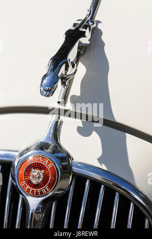 Jaguar 2 Salon Auto vorne Abzeichen und Teil des Grills mit springenden Jaguar Maskottchen auf Motorhaube des weißen Auto. Stockfoto