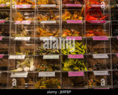 Künstliche Fliegen zum Verkauf im Ladengeschäft Angelgeräte Stockfoto