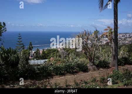 Blick auf Funchal aus dem Botanischen Garten in Funchal. Madeira, Portugal Stockfoto