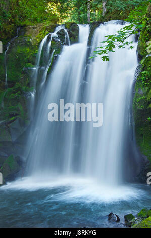 Nahaufnahme des majestätischen fällt Wasserfall über moosige Felsen in McDowell Creek Park, Oregon Stockfoto