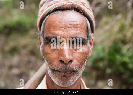 Porträt eines Tamil Liptons Sitz, Haputale Sri Lanka Stockfoto