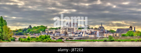 Blick auf Amboise Stadt mit dem Schloss und der Loire. Frankreich. Stockfoto