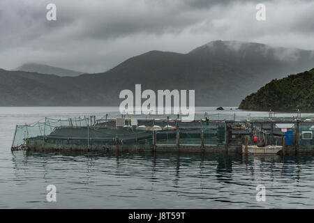 Picton, Neuseeland - 12. März 2017: King Salmon Farm in Ruakaka Bay unter bewölktem Himmel voller Regen. Industrieanlage mit Stiften und Netze oben Stockfoto