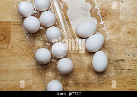 Hühnereier in seinem container Stockfoto